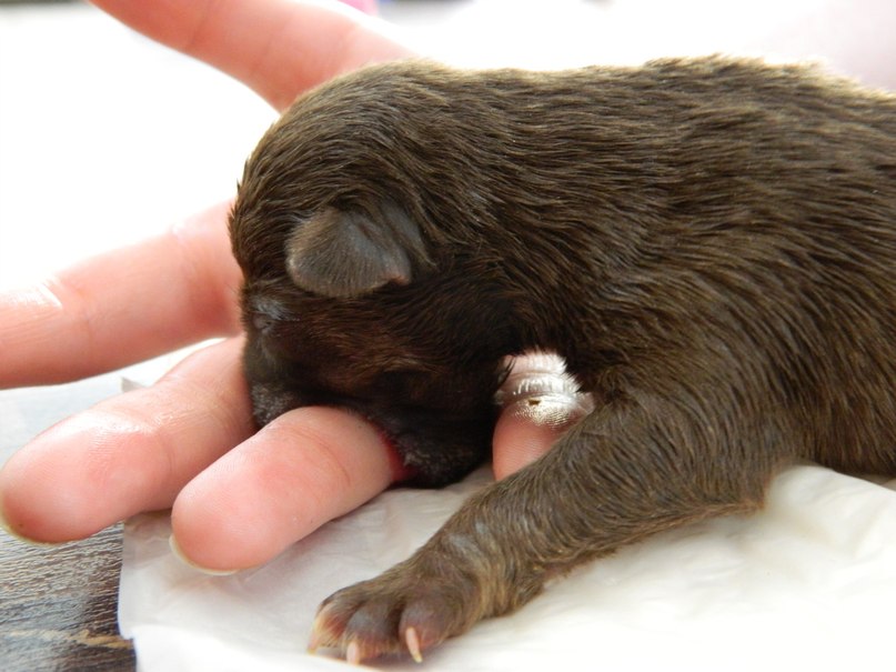 Оксана Бельская | Ульяновск