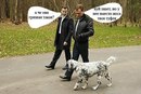 №9 Александр Колани