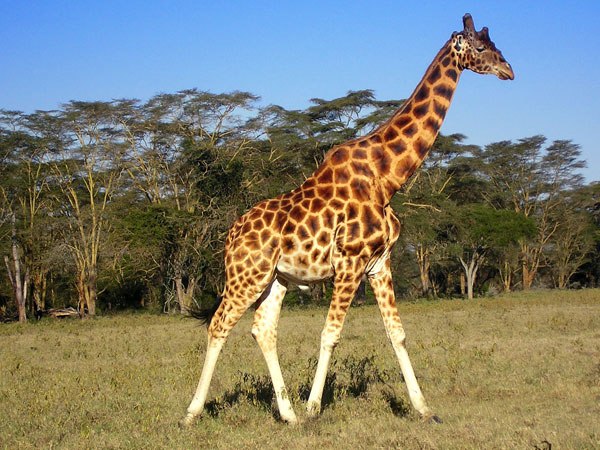 Jana Schessler | Hamburg