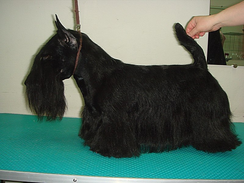 Алексей Калашников | Новосибирск