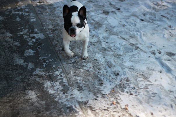 Иван Наумов | Тюмень