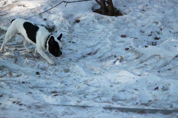 Иван Наумов | Тюмень