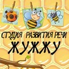 Студия Развития Речи