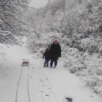 Алла Панова | 