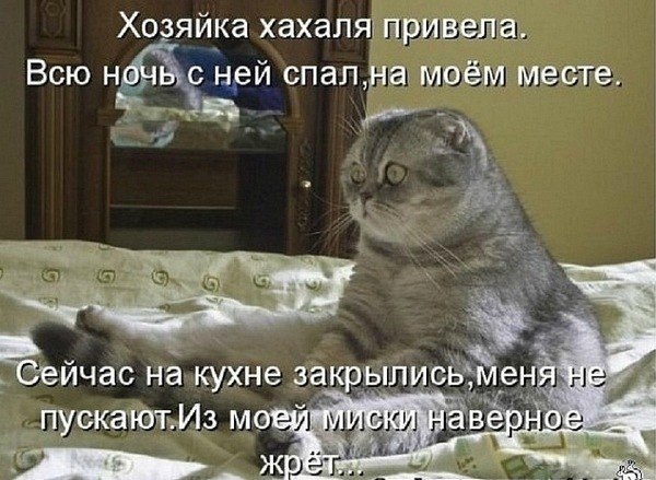 Алексей Ласков Не Басков | Киев