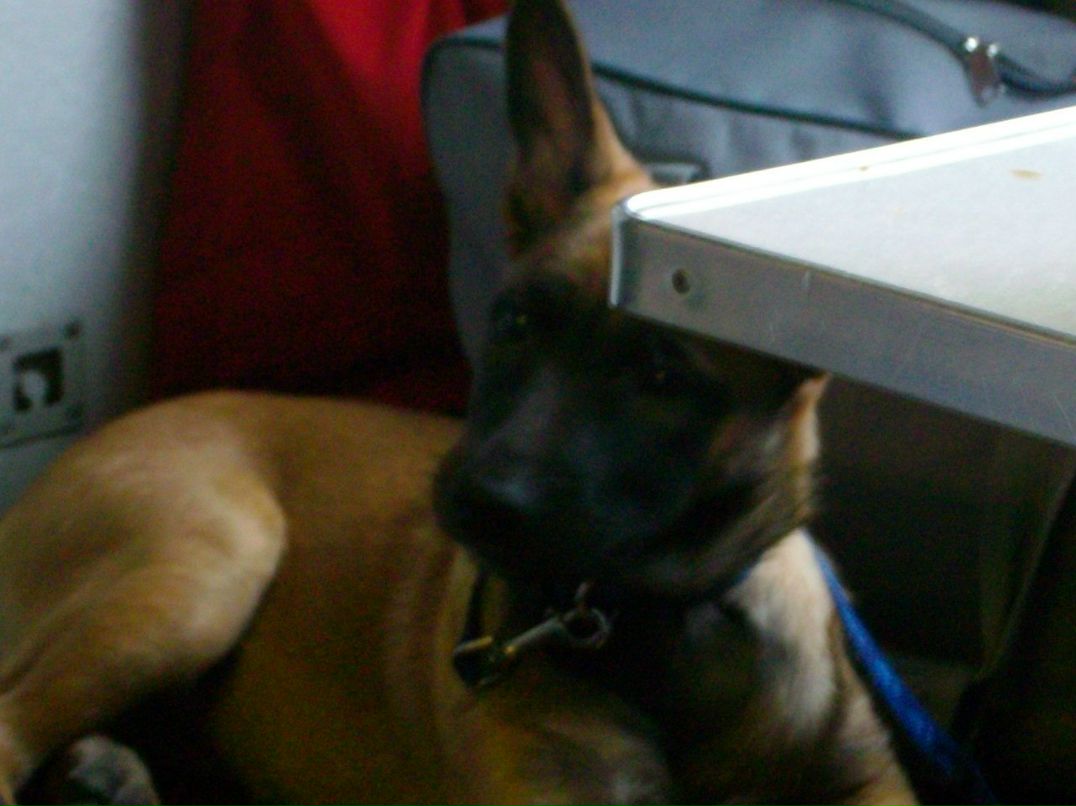 Лёха Имуков БеШеннЫй пИнГвиН | Самара