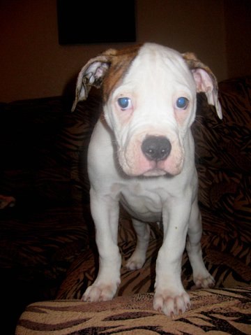 Жека Раджабов | Киев