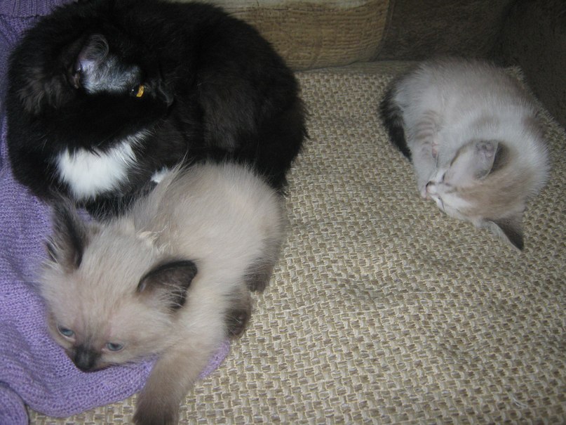 Сергей Назукин | Ульяновск