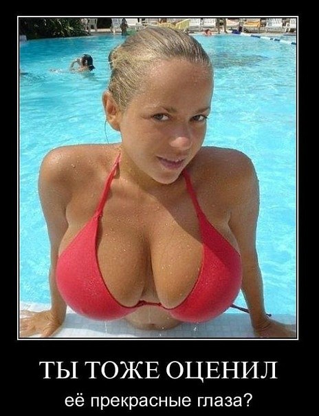 Александр Лешковят | Николаев