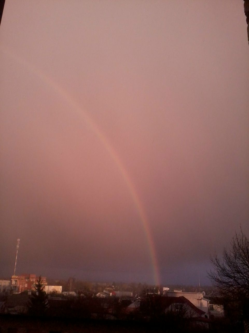 Cristina Omieluk | Брест