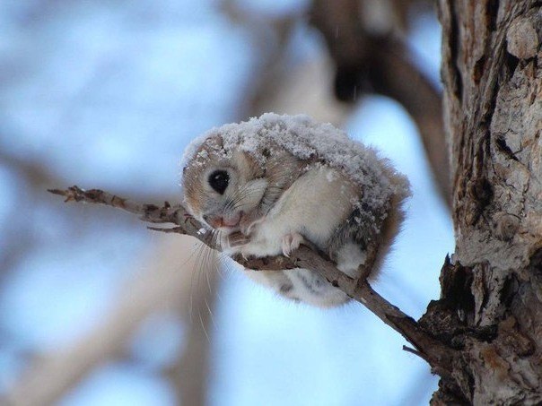 Катя Боева | Москва