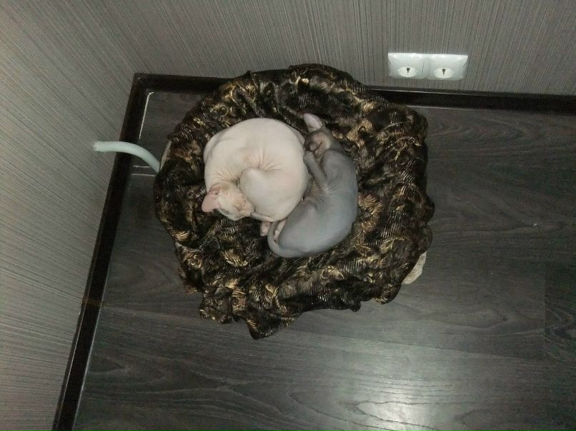 Александр Турбин | Мурманск