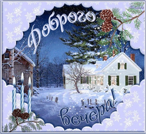 №91, Любов Татарчук, Vicenza №91, Любов Татарчук, Vicenza