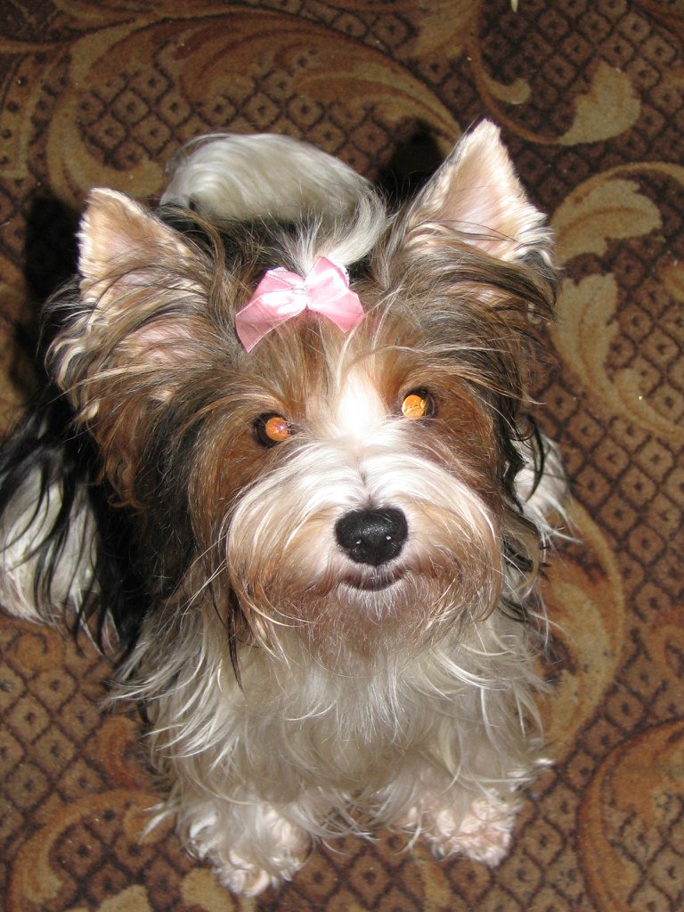 Диана Фурс ♥☺ | Москва