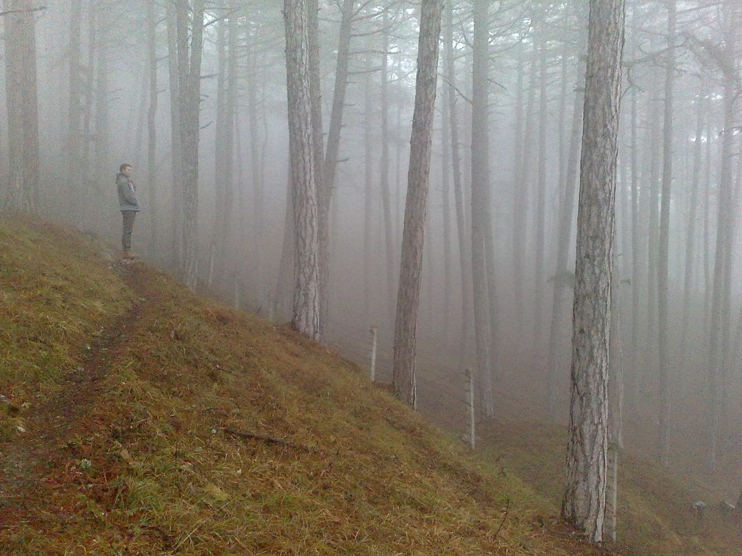 Артем Костыря | 