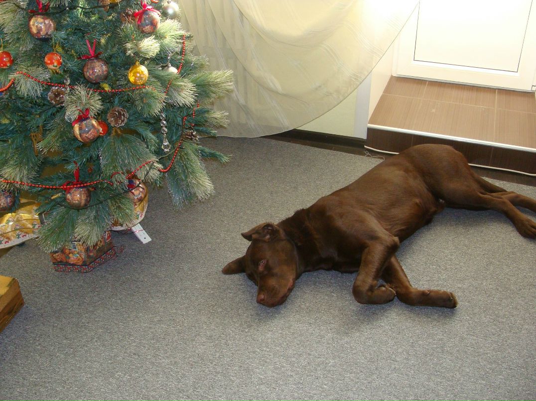 Катерина Шамбур | Москва