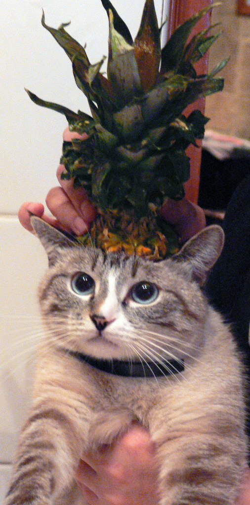 Константин Катанов | Москва