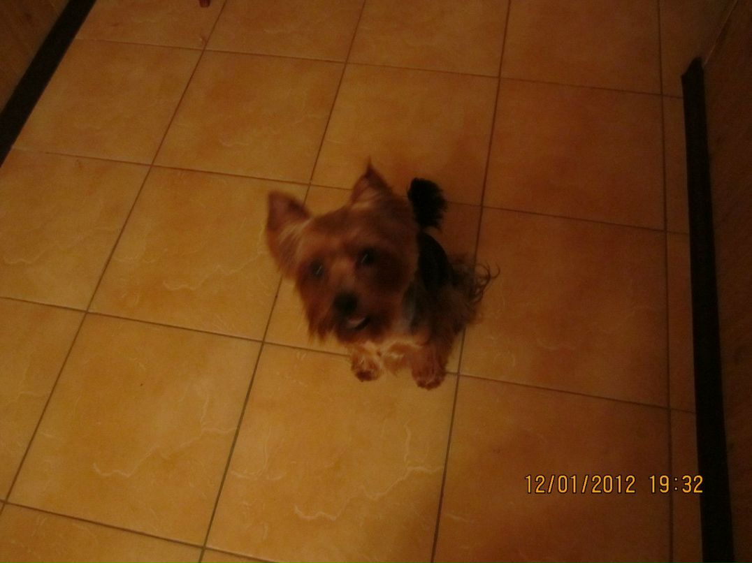 Паша Блашников | Санкт-Петербург