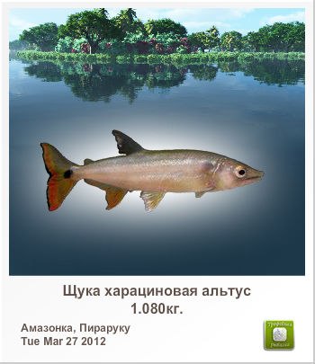 Вячеслав Скрипин | Ульяновск