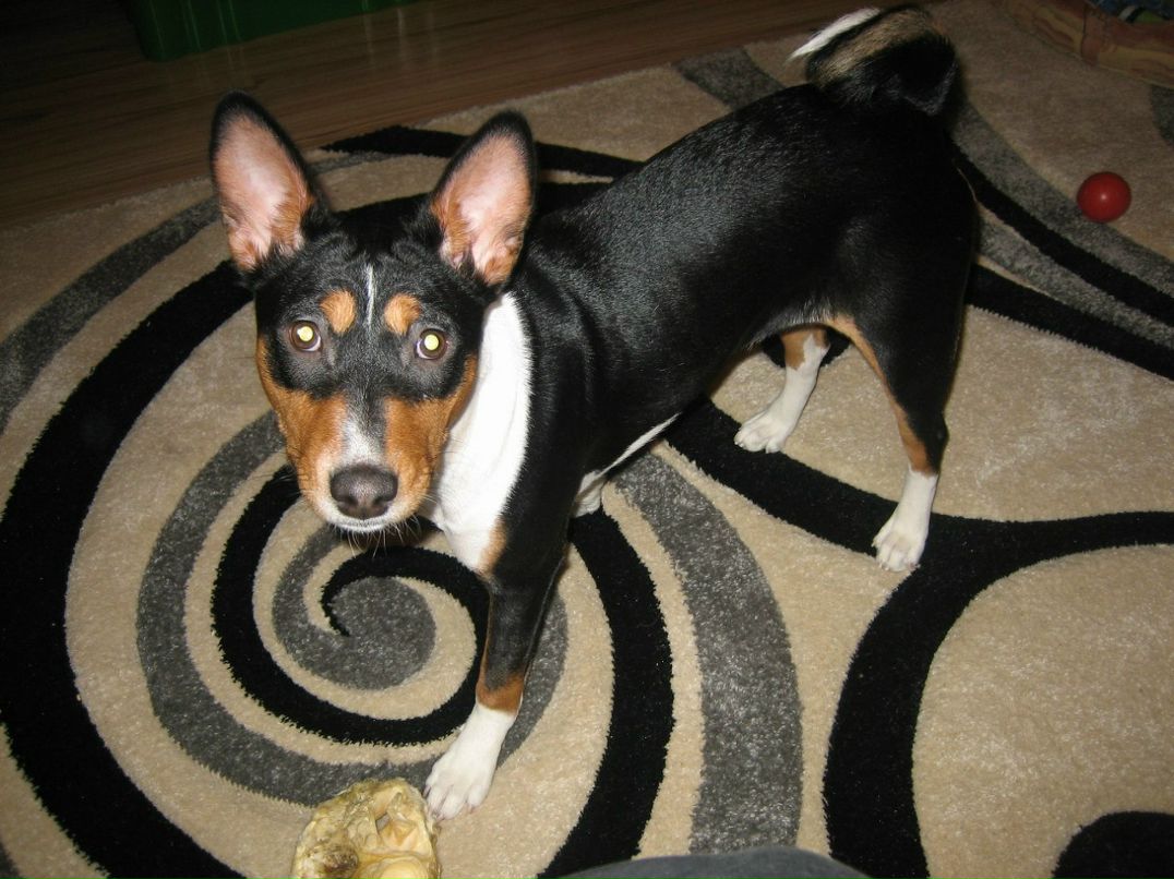 Ольга Яранцева | Санкт-Петербург