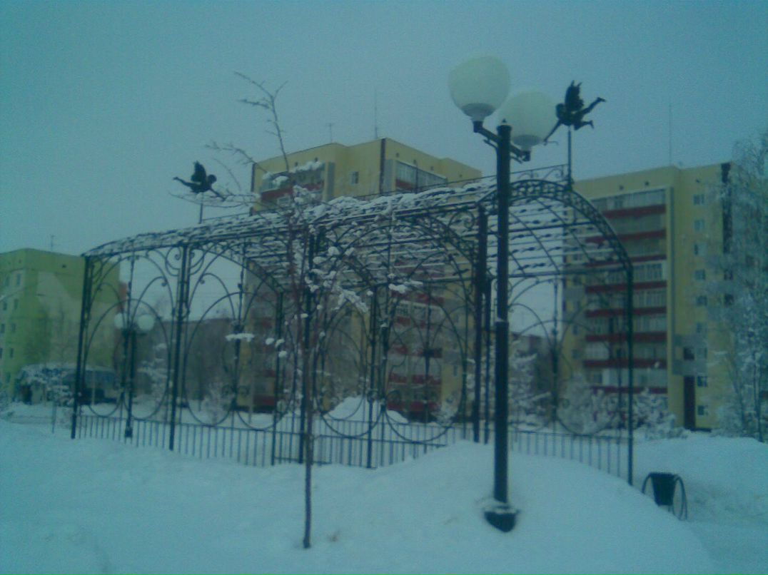 Алексей Жуков | Новосибирск