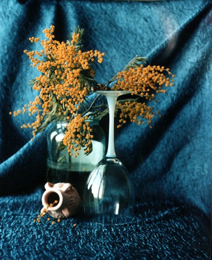 Риша Риша | Санкт-Петербург