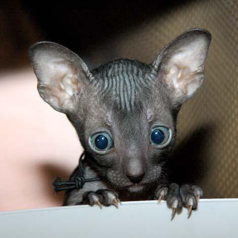 Галина Зайцева | Санкт-Петербург