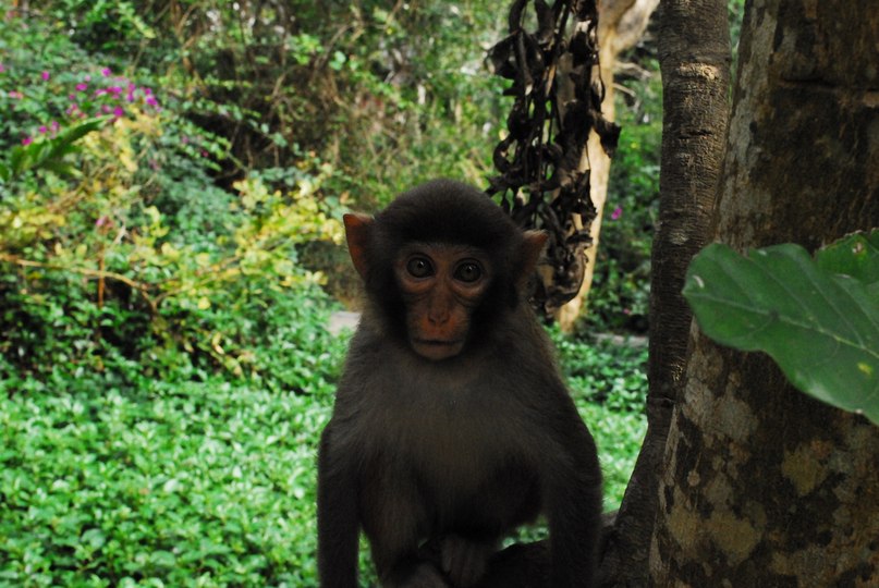 Александр Мельник | 