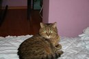 Фотография Евгения Фуркина