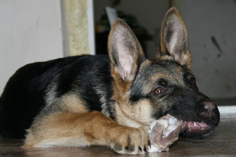 Нила Соловей | Пенза