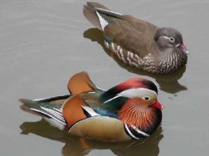 Илона Шарафутдинова | Казань