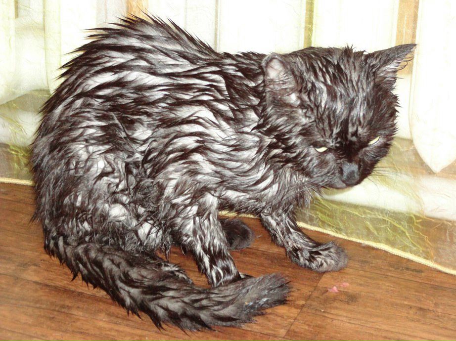 Ирина Данилова | Якутск