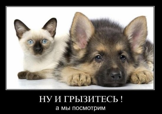 Виталий Лиманский | Сургут