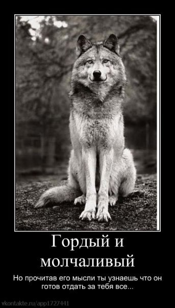 Ринат Газизянов Альбертович | Казань