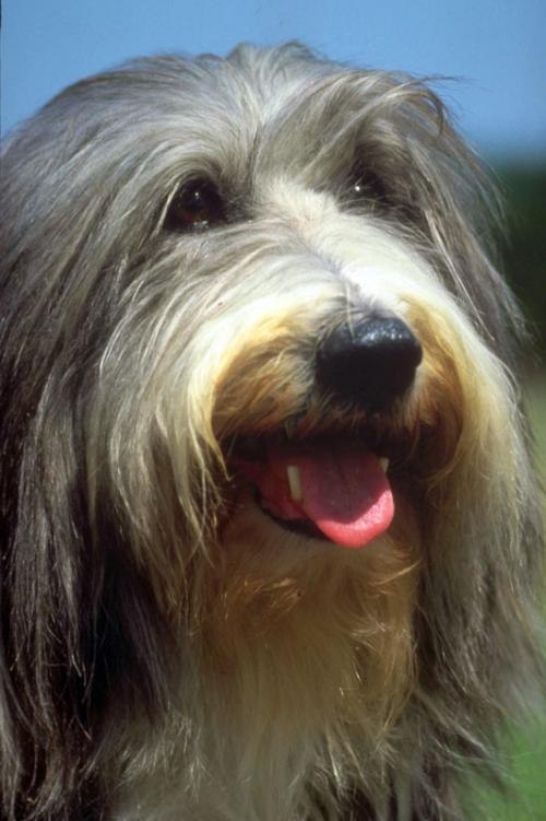 Светлана Черемных | Тула