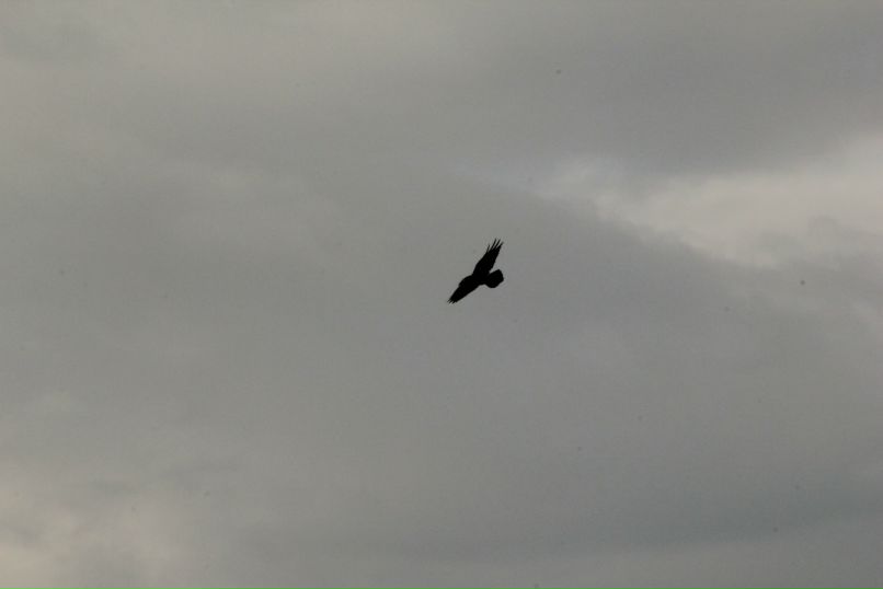 Евгений Воловенко | Москва