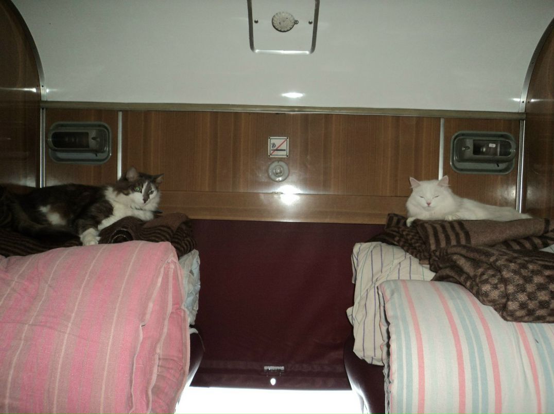 Катюшка Жевагина | 