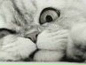 Оксана Каховская | Киев