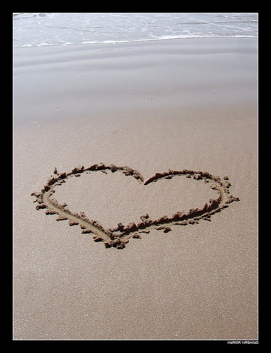 Алексей Литвинов | Киев