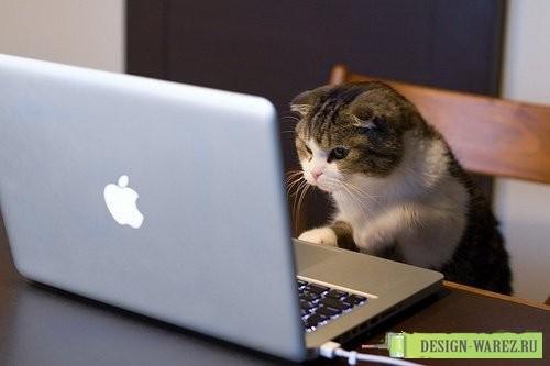 Анна Исанбаева | Нижневартовск