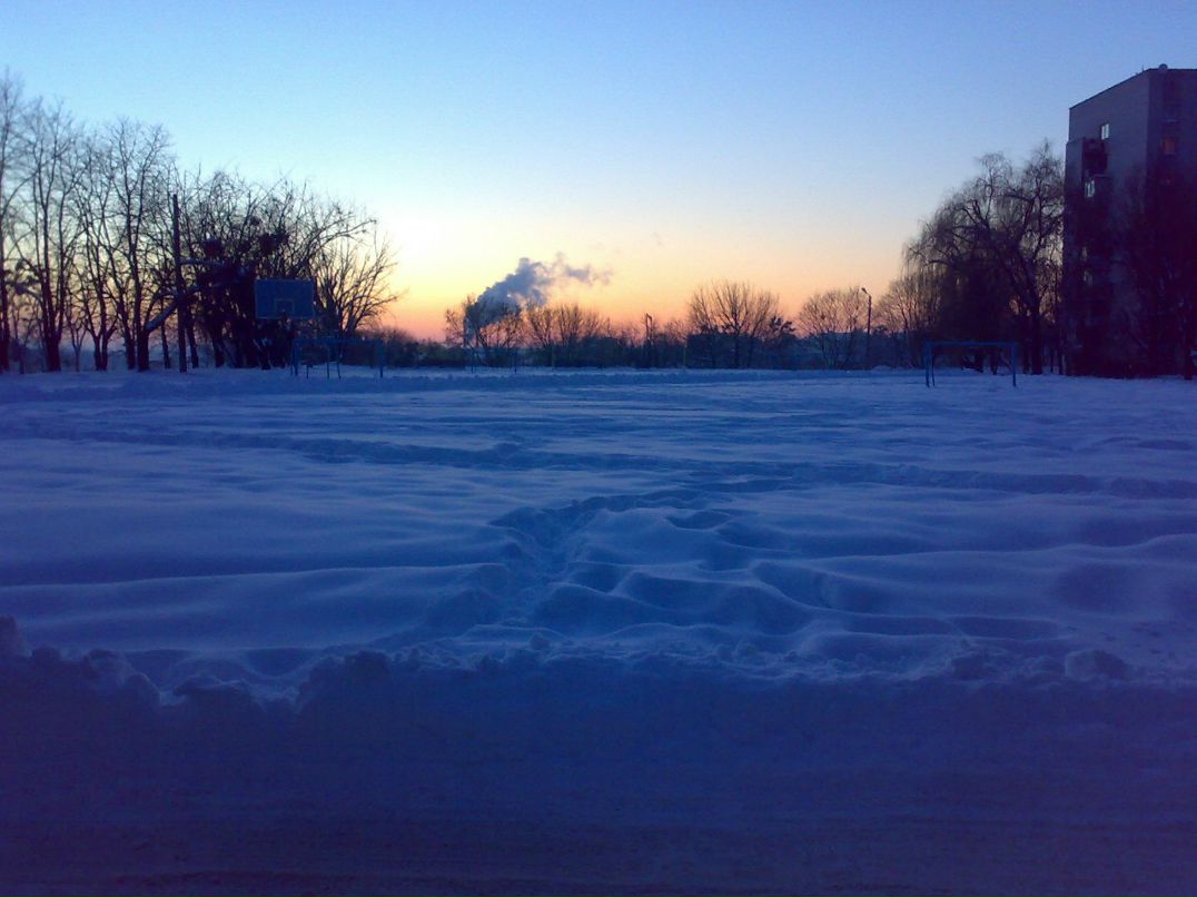 Ольга Котвицька | Житомир