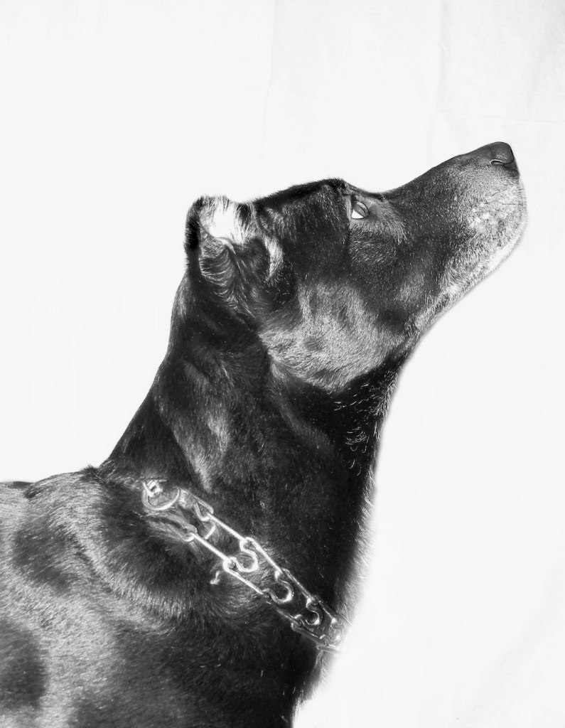 Анастасия Морозова | Москва