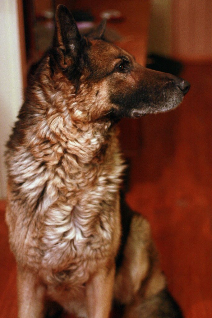 Юля Цой | Екатеринбург