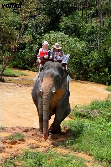 Сергей Культин | Пермь
