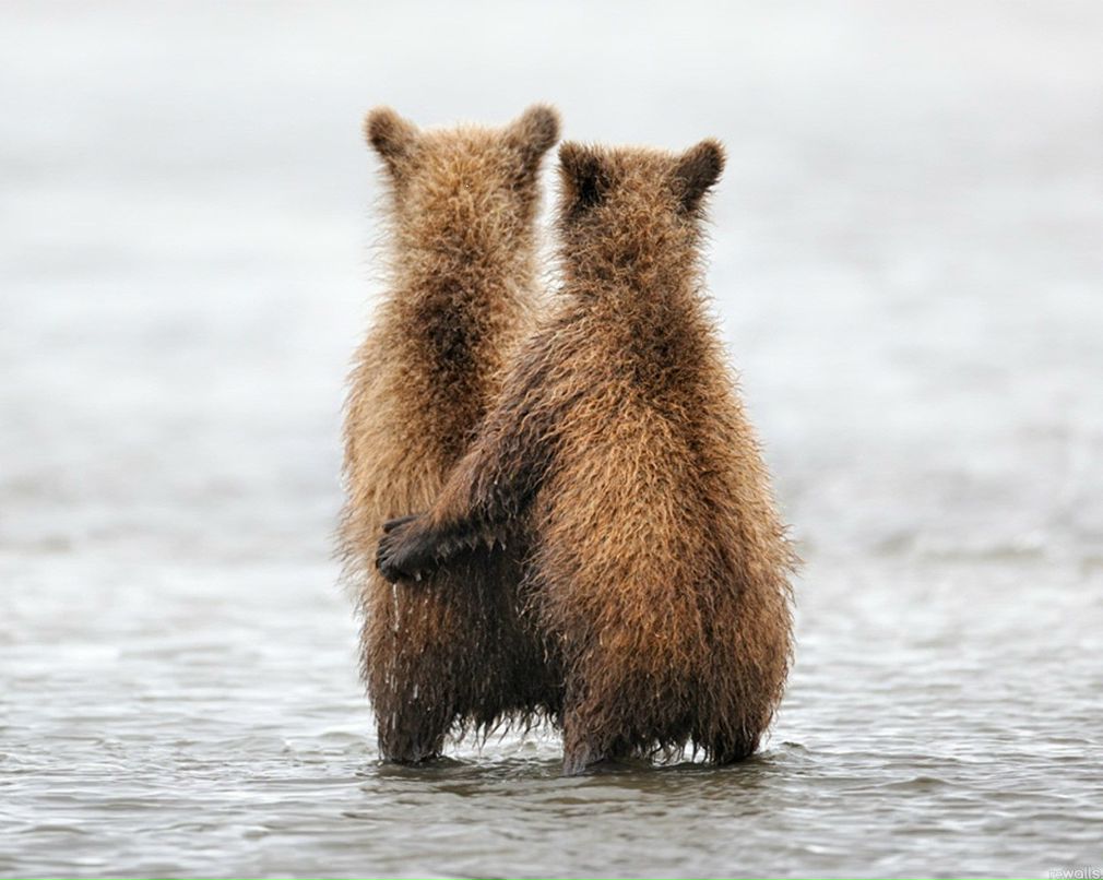 Марина Гришина rax | Москва