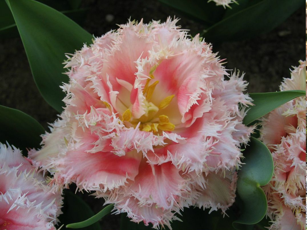 Егор Задереев | Красноярск