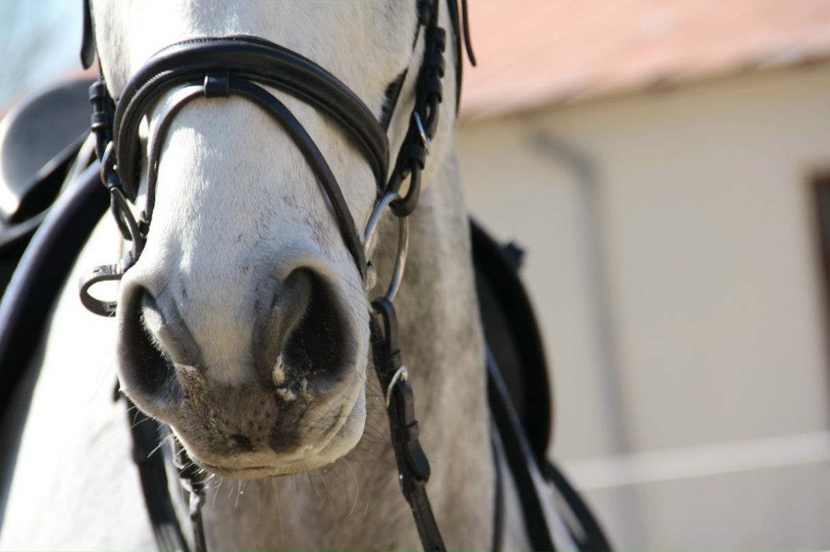 Марина Момот | Москва