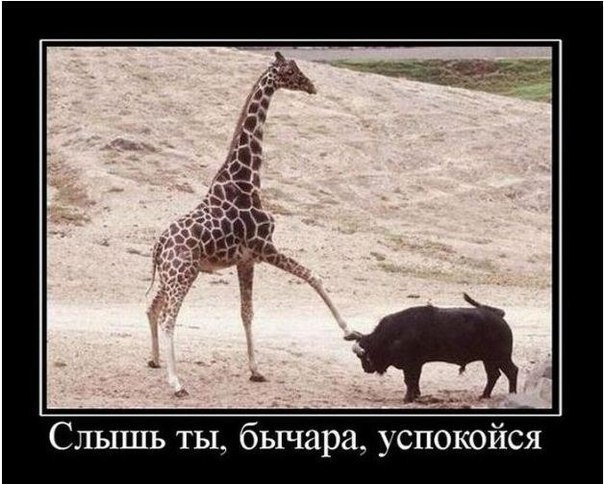 Михаил Зайцев Сергеевич | Сочи