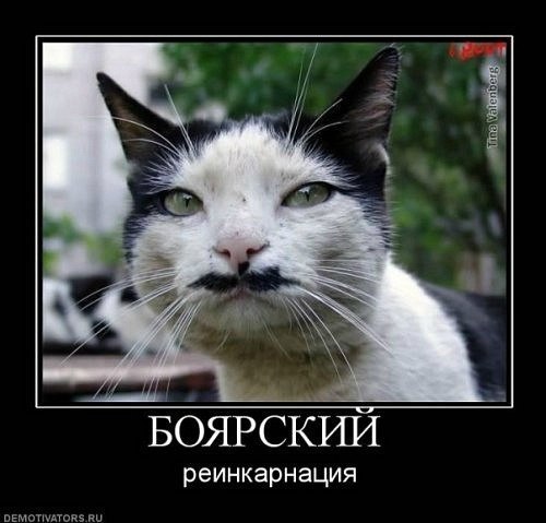 Татьяна Иванова | Серпухов