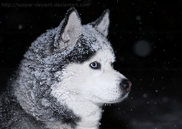 Таня Грама | Красная Слободка